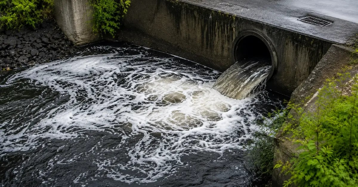 Stormwater Campaign blog banner
